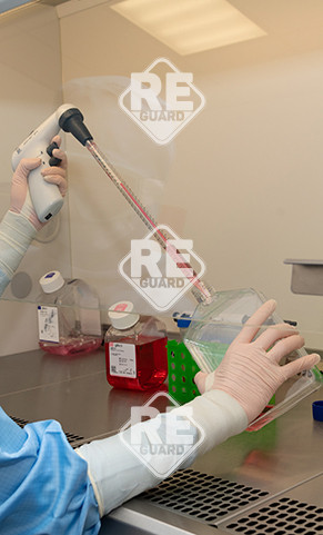 SHIELDskin XTREME STERIL White Nitrile 400 DI+ pf handspez. Reinraumhandschuh 20Paar/Beutel 5.5