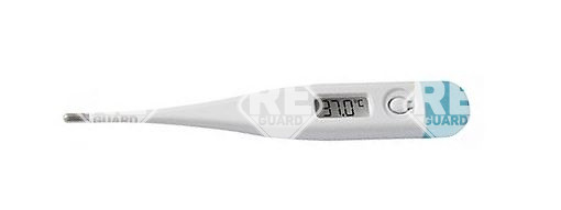 Digitaler Fibertermomether